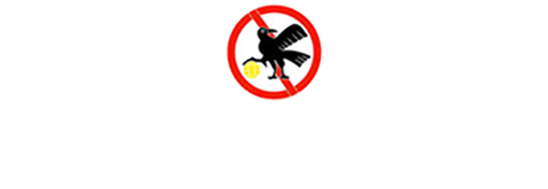 Fuchu Football Association 府中サッカー連盟